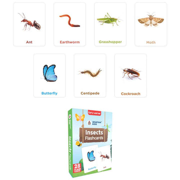 Brain Boosting Mega Flashcards Box — 25-Pack | 675 Educational Flashcards for Kids Ages 2–8 | Spartan Kids