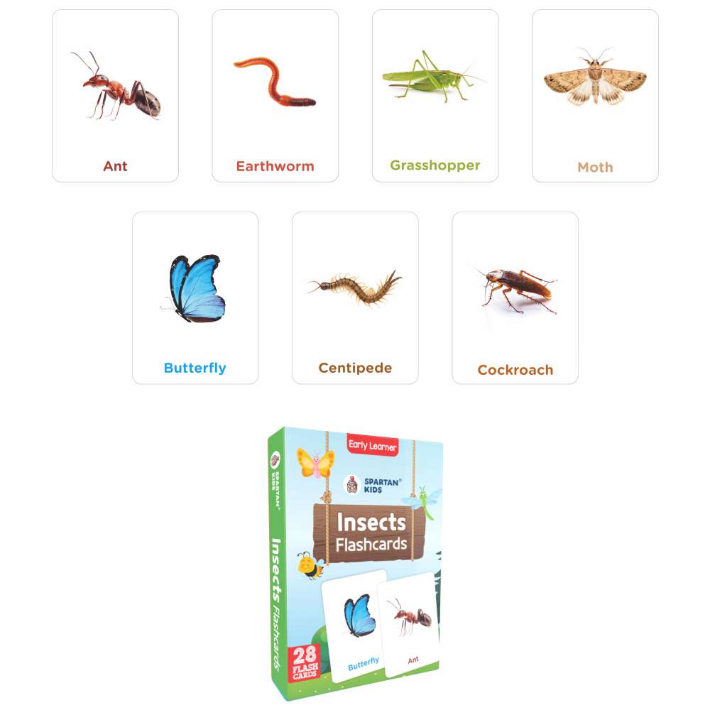 Brain Boosting Mega Flashcards Box — 25-Pack | 675 Educational Flashcards for Kids Ages 2–8 | Spartan Kids