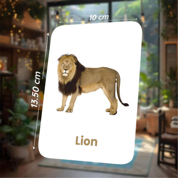 Animal Flashcards for Kids – 27 Animal Picture Cards | Montessori (Ages 2-5)