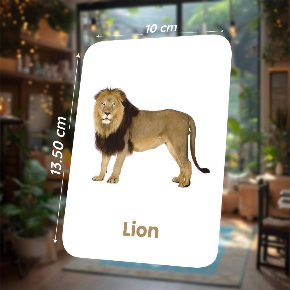 Animal Flashcards for Kids – 27 Animal Picture Cards | Montessori (Ages 2-5)
