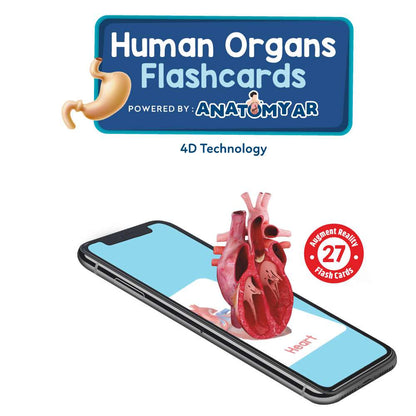 Human Organs Flash Cards – Augmented Reality Based Flash Cards