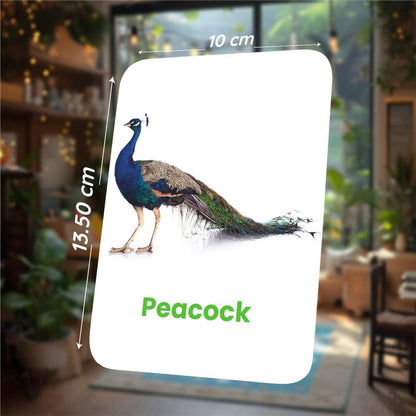 Birds Flash Cards | 27 Early Learning Flash Cards for Kids