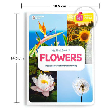Picture Books Collection Wipe and Clean (Set of 12)