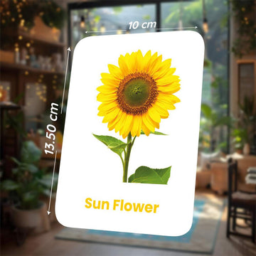 Spartan Kids Flower Flashcards for Kids | 27 Flower Learning Cards | Ages 6 Months–6 Years