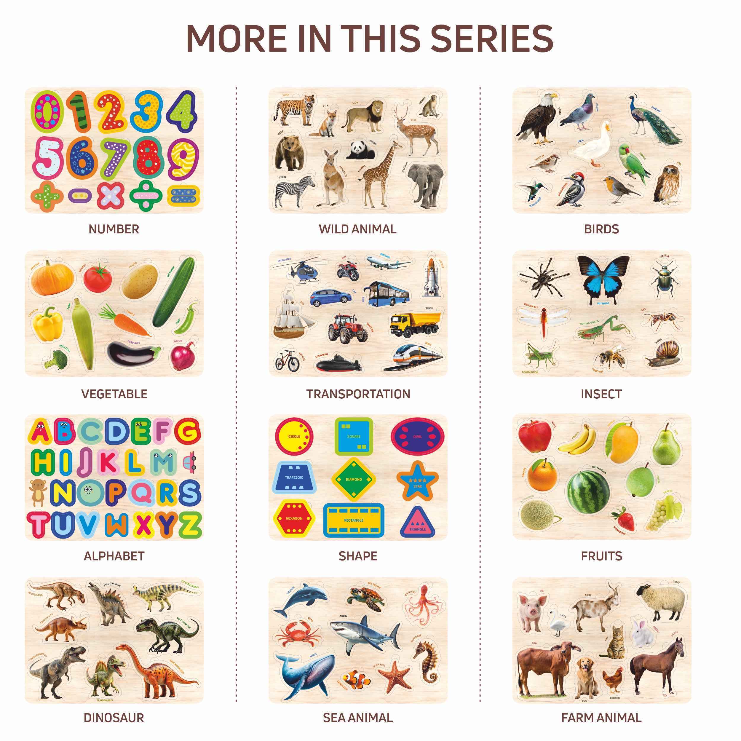 Wooden Educational Puzzle Set for Kids 3+ (Set of 6)