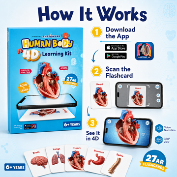 Spartan Kids Human Body 4D Learning Kit with 27 AR Flash Cards, Augmented Reality Anatomy Educational Toy, Voice Narration and 360 Degree View, STEM Science Gift for Boys and Girls Age 6+