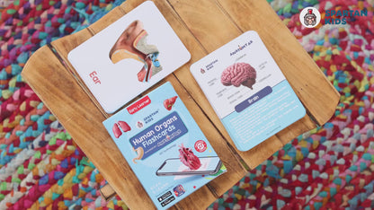 Human Organs Flash Cards – Augmented Reality Based Flash Cards